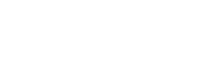 Den Norske Israelsmisjon Logo